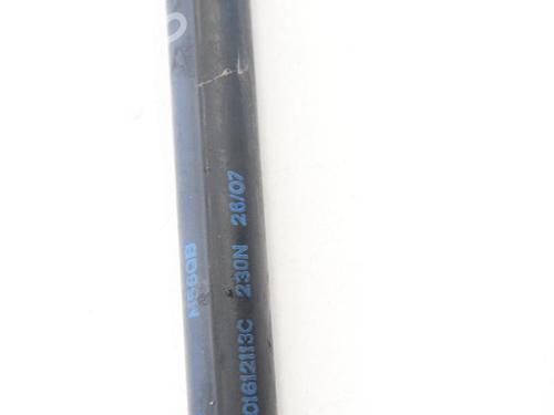 Hood lift support LAND ROVER RANGE ROVER SPORT I (L320) 3.6 D 4x4 | BP14768159C139 