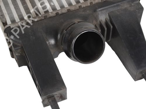 Intercooler NISSAN JUKE (F15) 1.2 DIG-T | BP13519760M30 