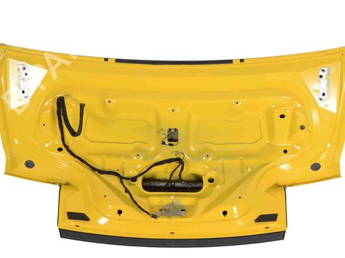 Tailgate FORD USA MUSTANG Convertible 5.0 V8 | BP29752417C6 