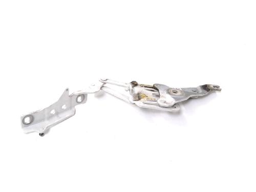 Hinge/Door check strap BMW X6 (E71, E72) M 50 d | BP14774398C146 