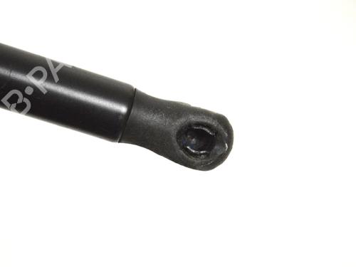 Hood lift support AUDI A3 (8P1) S3 quattro | BP14787957C139 