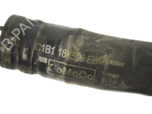 Pipe FORD FIESTA VI (CB1, CCN) 1.0 EcoBoost | BP14790556M125 