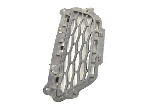 Grille LAND ROVER RANGE ROVER EVOQUE (L538) 2.0 D 4x4 | BP14787229C40 