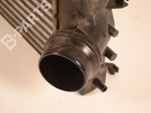 Intercooler NISSAN X-TRAIL III (T32_, T32R, T32RR) 1.6 DIG-T (T32) | BP10675325M30 