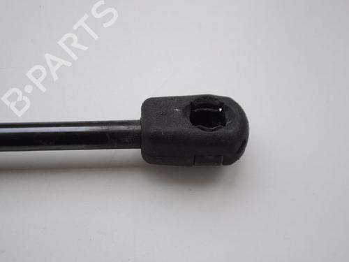 Hood lift support JAGUAR S-TYPE II (X200) 3.0 V6 | BP14798799C139 