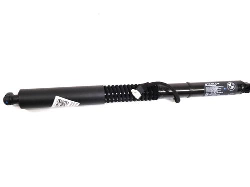 Used Tailgate lift support BMW X3 (G01, F97, G08) xDrive M40 d (326 hp) 27821826