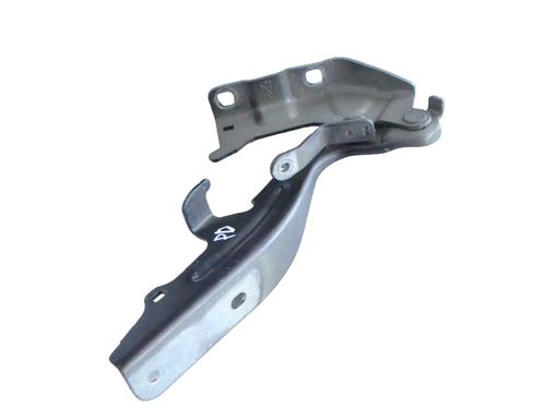 Hinge/Door check strap NISSAN JUKE (F16_) DIG-T 117 | BP27824888C146