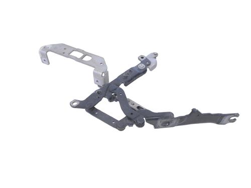 Hinge/Door check strap BMW 5 (F10) 520 d | BP14805423C146 