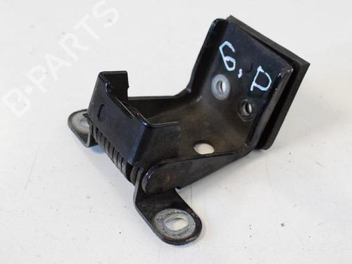 Used Hinge/Door check strap LAND ROVER RANGE ROVER III (L322) 4.4 D 4x4 (313 hp) 14817349