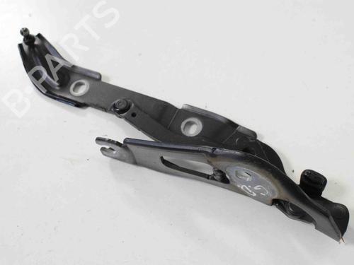 Hinge/Door check strap BMW 1 Coupe (E82) 125 i | BP14766829C146