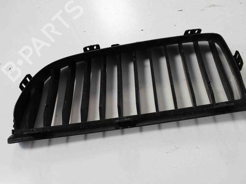 Grille BMW 3 (E90) 320 d | BP14817228C40 