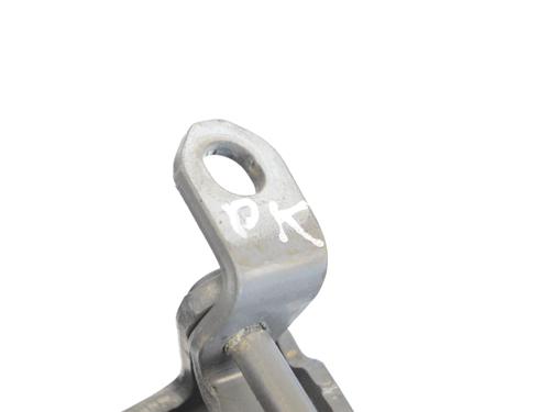 Hinge/Door check strap NISSAN JUKE (F16_) DIG-T 117 | BP27825022C146 