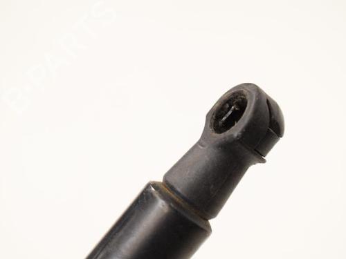 Hood lift support LAND ROVER RANGE ROVER SPORT I (L320) 3.0 D 4x4 | BP14767301C139 