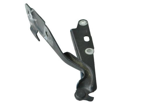 Hinge/Door check strap JAGUAR S-TYPE II (X200) 2.7 D | BP16645233C146 