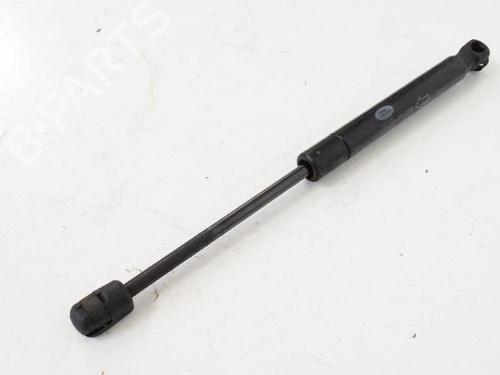 Used Hood lift support LAND ROVER RANGE ROVER EVOQUE (L538) 2.2 D 4x4 (190 hp) 14767475