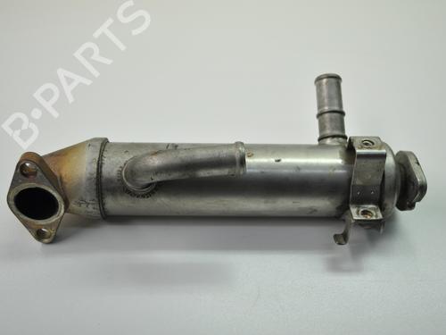 Egr JAGUAR X-TYPE I (X400) 2.0 D | BP19941875M69 