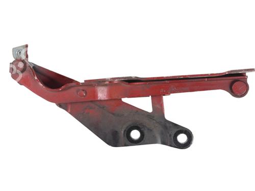 Hinge/Door check strap FORD USA MUSTANG Coupe 2.3 EcoBoost | BP16021886C146 