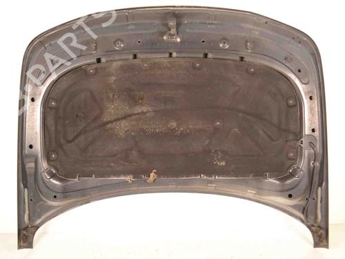 Hood LAND ROVER RANGE ROVER SPORT I (L320) 2.7 D 4x4 | BP29730244C1
