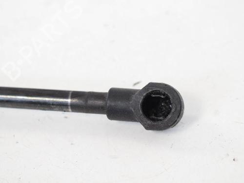 Hood lift support LAND ROVER RANGE ROVER SPORT I (L320) 3.6 D 4x4 | BP14818291C139 