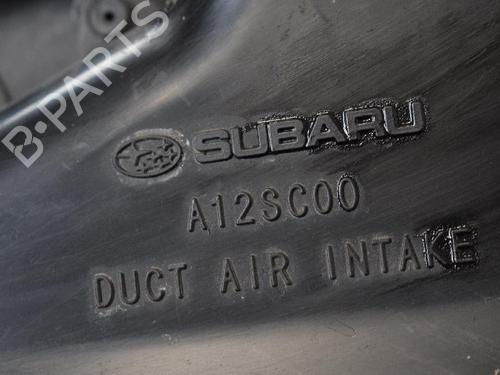 Used Grille SUBARU FORESTER (SH_) 2.0 D AWD (SHH, SHD, SHN) (147 hp) 14818246