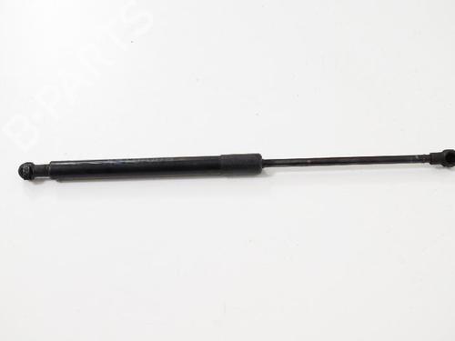 Used Hood lift support BMW 3 (E90) 320 d (163 hp) 14814961