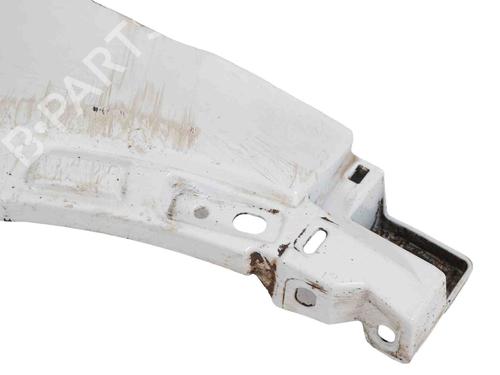 Left front fenders LAND ROVER RANGE ROVER EVOQUE (L538) 2.0 D 4x4 | BP18431542C41 