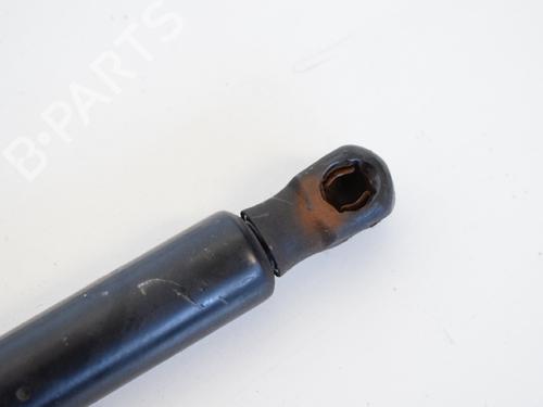 Tailgate lift support LAND ROVER RANGE ROVER SPORT I (L320) 2.7 D 4x4 | BP14768664C138 