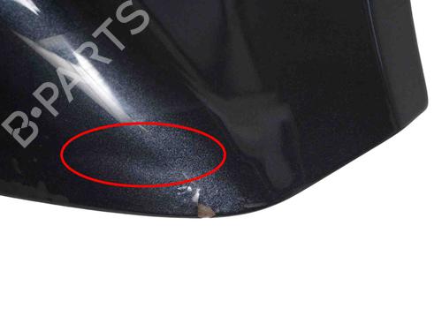 Hood DODGE RAM 1500 Pickup (DJ, DS) 5.7 4x4 | BP29730275C1