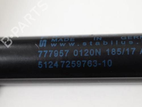 Gassdemper Bakluke BMW 3 (F30, F80) 335 d xDrive (313 hp) 14816661