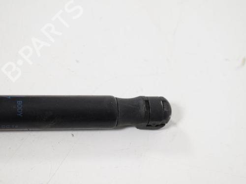Used Hood lift support LAND ROVER FREELANDER 2 (L359) 2.2 TD4 4x4 (160 hp) 14815921