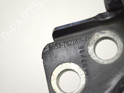 Hinge/Door check strap FORD ECOSPORT 1.0 EcoBoost | BP14770881C146 