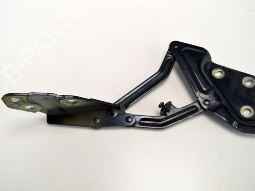 Hinge/Door check strap VW TOUAREG (7LA, 7L6, 7L7) 2.5 R5 TDI | BP19942156C146 