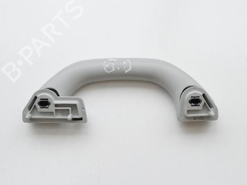 Interior roof handle SKODA OCTAVIA II Combi (1Z5) 2.0 TDI 16V | BP14808827I35 