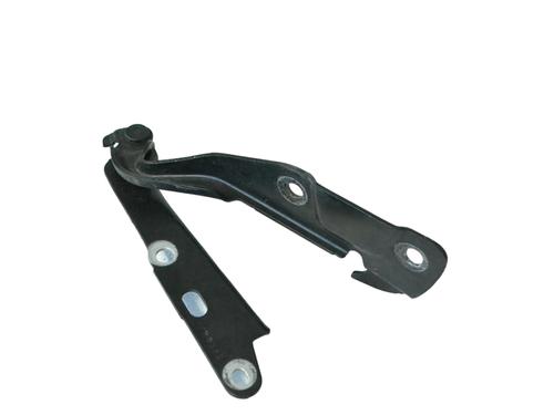 Used Hinge/Door check strap JAGUAR S-TYPE II (X200) 2.7 D (207 hp) 16645233