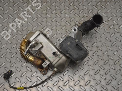 Egr NISSAN X-TRAIL III (T32_, T32R, T32RR) 1.6 dCi (T32) | BP16197192M69 
