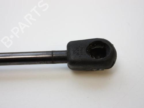 Hood lift support LAND ROVER FREELANDER 2 (L359) 2.2 TD4 4x4 | BP14802711C139 