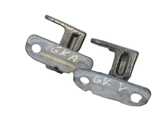 Hinge/Door check strap JAGUAR I-PACE (X590) EV400 AWD | BP27828295C146 