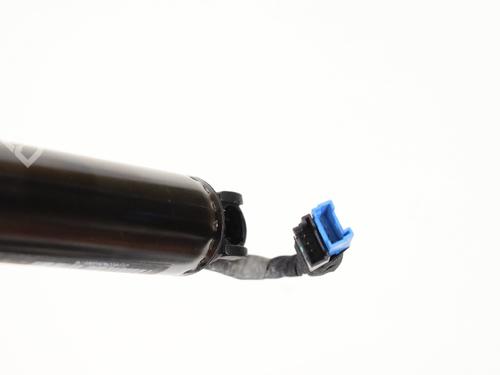 Tailgate lift support BMW X4 (G02, F98) xDrive 30 i | BP28546715C138 