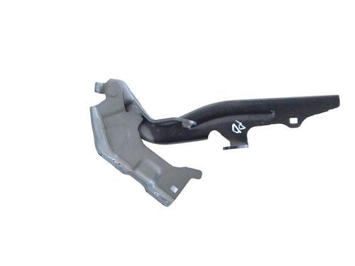 Hinge/Door check strap NISSAN JUKE (F16_) DIG-T 117 | BP27824888C146