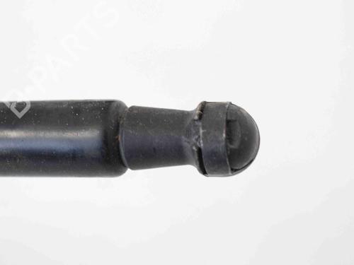 Hood lift support LAND ROVER RANGE ROVER SPORT I (L320) 3.6 D 4x4 | BP14818292C139 