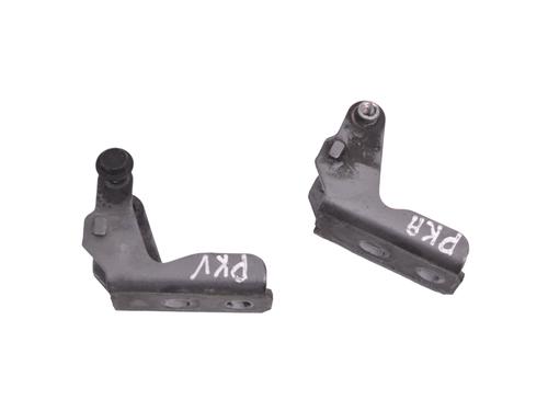 Hinge/Door check strap JAGUAR XJ (X350, X358) D 2.7 | BP14802581C146 