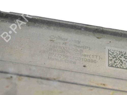 Electronic module TESLA MODEL Y (5YJY) EV Performance All-wheel Drive | BP27827856M83