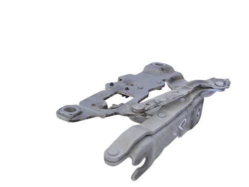 Hinge/Door check strap BMW 6 Coupe (F13) 640 d | BP15482965C146 