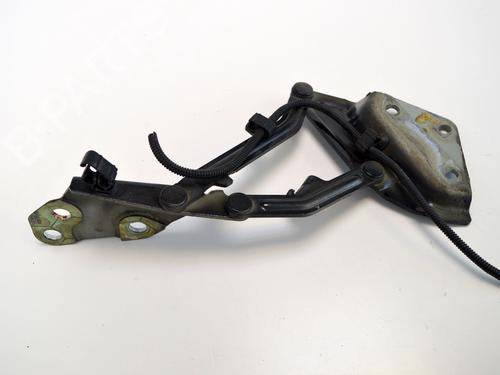 Hinge/Door check strap VW TOUAREG (7LA, 7L6, 7L7) 2.5 R5 TDI | BP19942154C146 