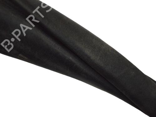 Gummiliste DODGE RAM 1500 Pickup (DJ, DS) 5.7 4x4 | BP27828395C142