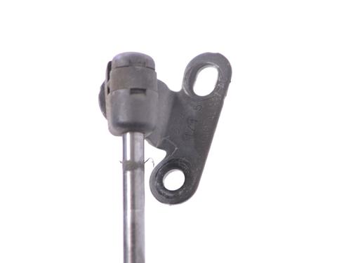 Tailgate lift support FORD FIESTA VI (CB1, CCN) 1.0 EcoBoost | BP14778296C138 