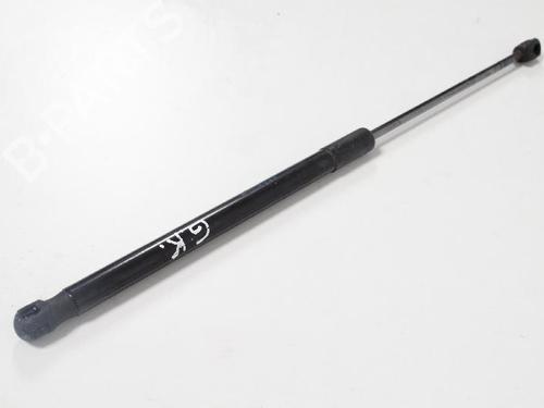 Used Tailgate lift support CITROËN DS4 (NX_) 1.2 THP 130 (130 hp) 14765763