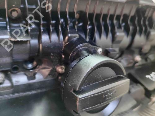 Engine BMW 5 (G30, F90) 530 d xDrive | BP29829142M1