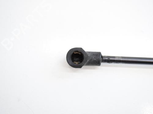 Hood lift support LAND ROVER RANGE ROVER SPORT I (L320) 2.7 D 4x4 | BP14768662C139 