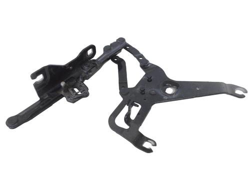 Used Hinge/Door check strap BMW X5 (F15, F85) xDrive 30 d (258 hp) 14806506